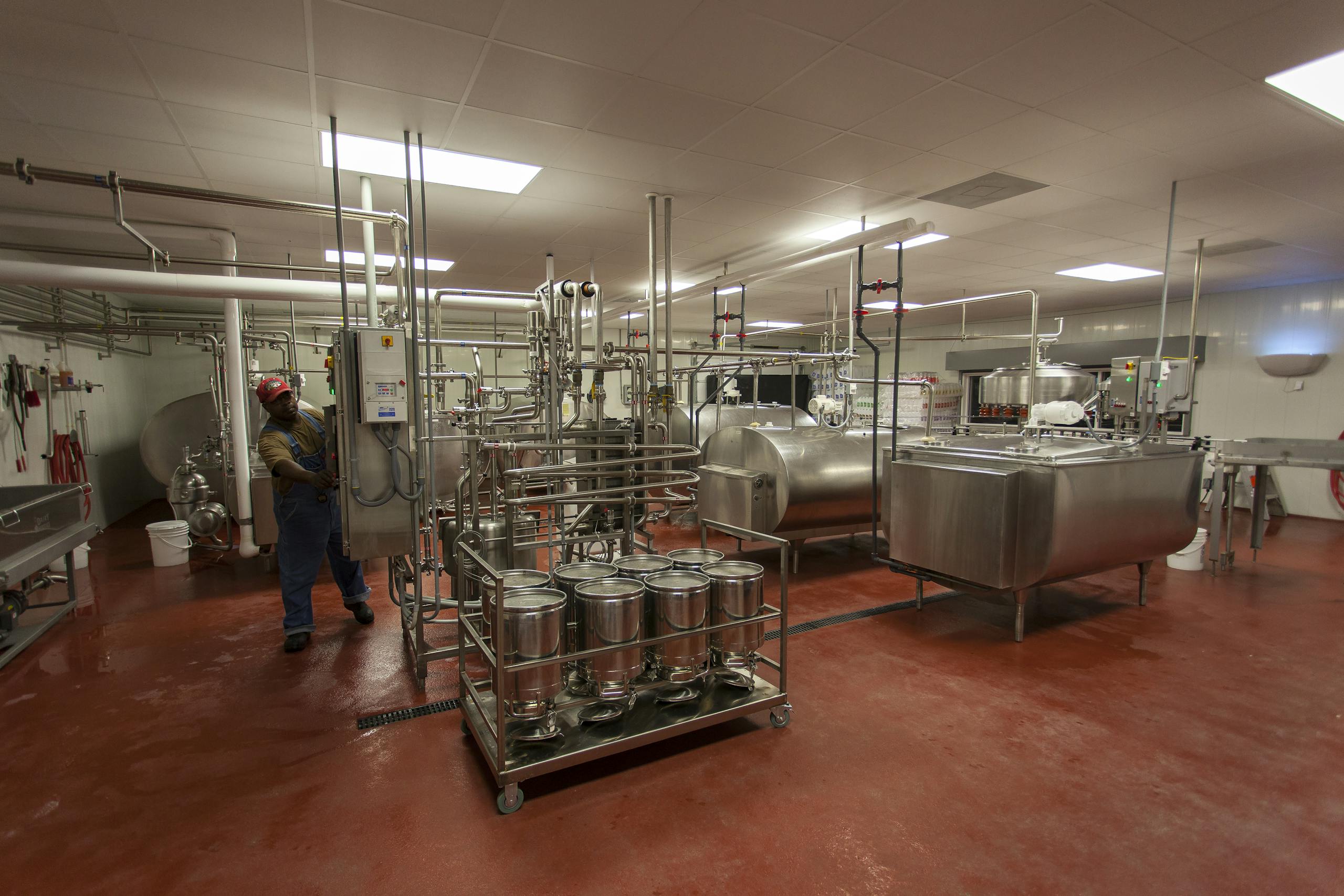 Milk Processing in a Factory