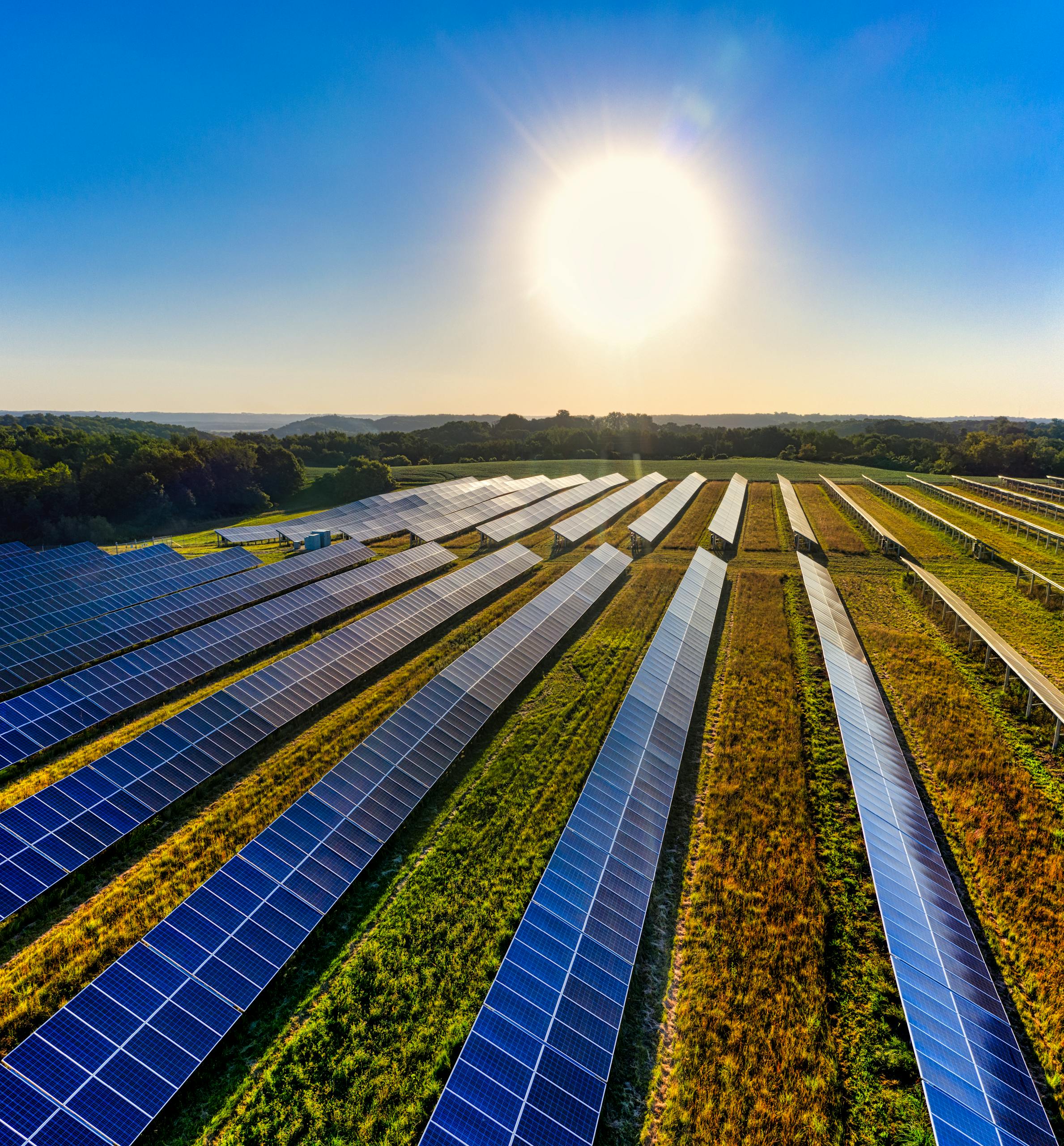 Solar Farm at Sunny Day